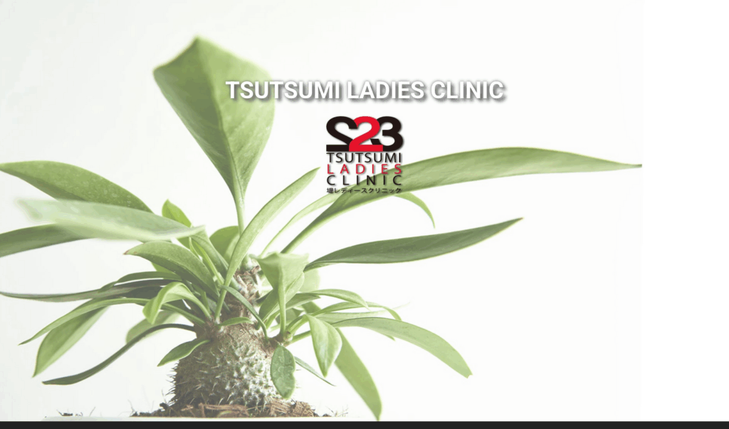堤レディースクリニック