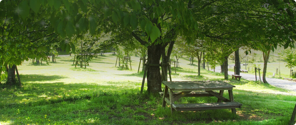 ささき腎泌尿器クリニック